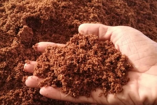 تصویر 3 از قیمت خرید خاک گلدان کوکوپیت + فروش ویژه